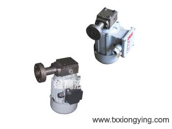 ZCB series CB-0.8 rotor oil pump for gear pump motor