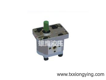 CBN-E (F) 300 series of gear pumps (CBT series, CBW Series)