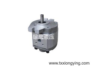 CBW-F2 series gear pump