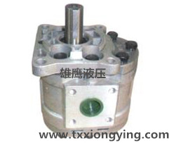 CBT-E (F) 500 series of gear pumps