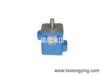 YB1 quantitative vane pump