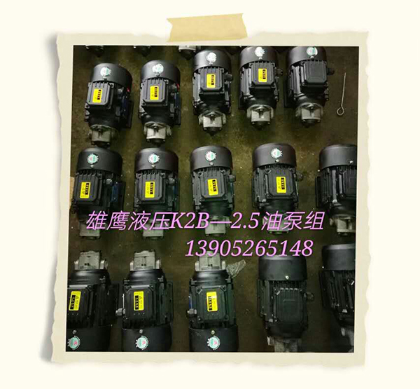 K2B-2.5 oil pump group