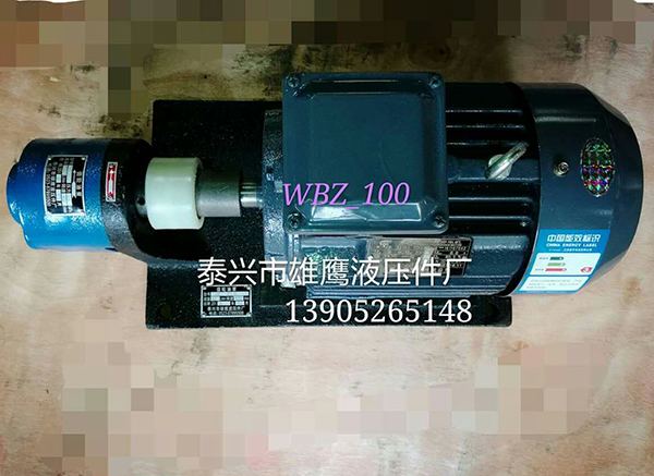 WBZ-100 oil pump unit