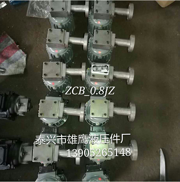 ZCB-0.8JZ oil pump