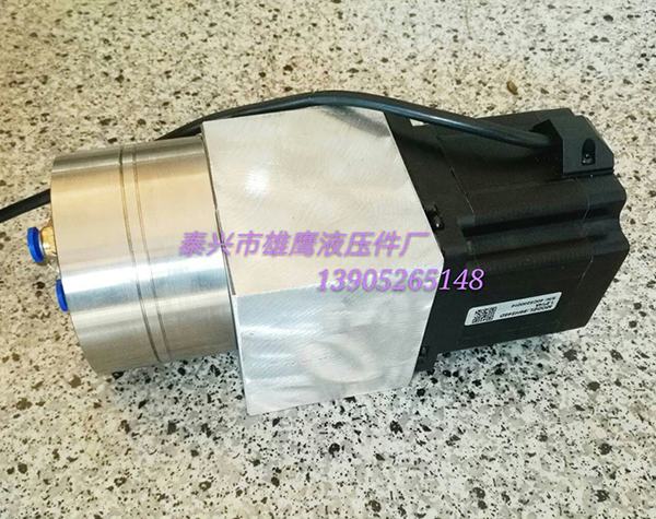 Stainless steel gear pump